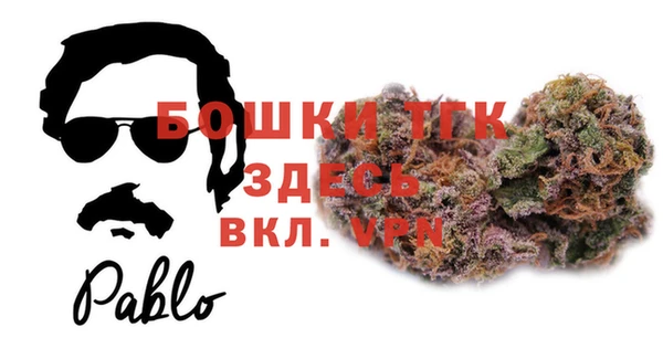 мет Алексин