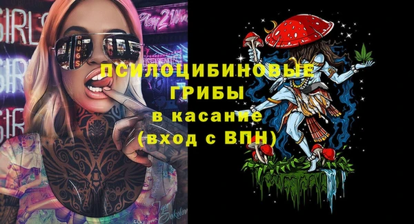 хмурый Абинск