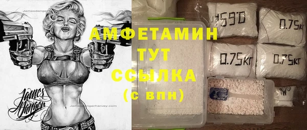мет Алексин