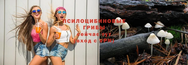 соль курить ск Пестово